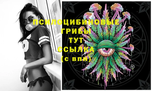 мескалин Богородицк