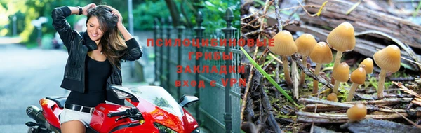 мескалин Богородицк